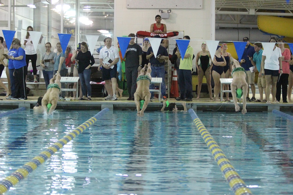 Van Tasel Wright Boll Dive