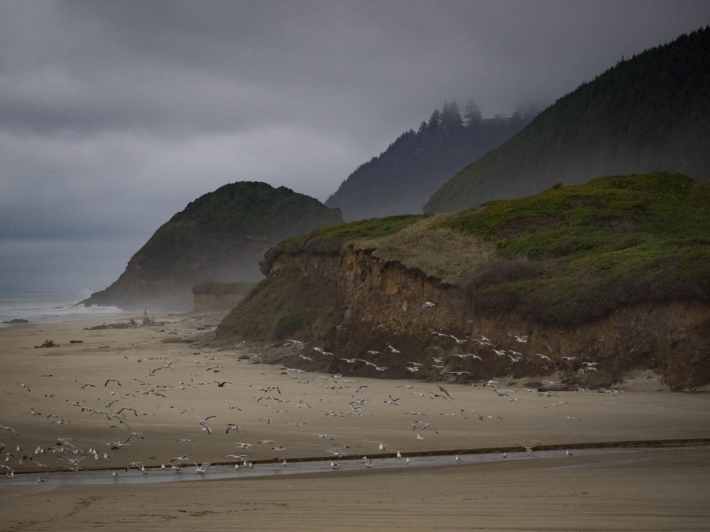 Escape to Oregon