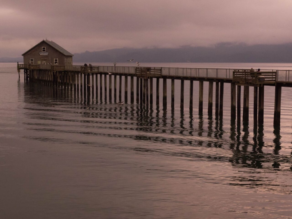 Escape to Oregon