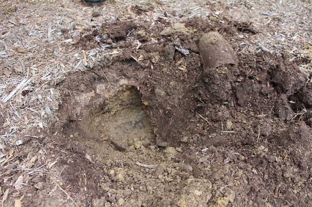 JB Metal Detecting Something in Ground 