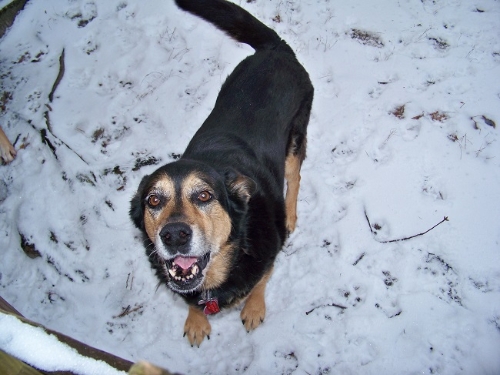 snow 10