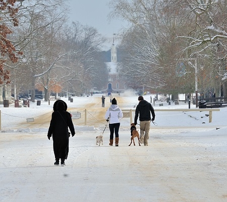 snow 14