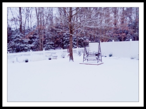 snow 8