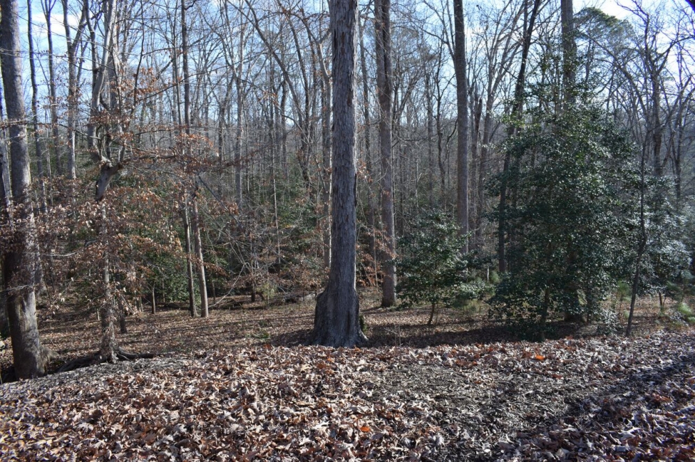 Williamsburg's Civil War battlefield