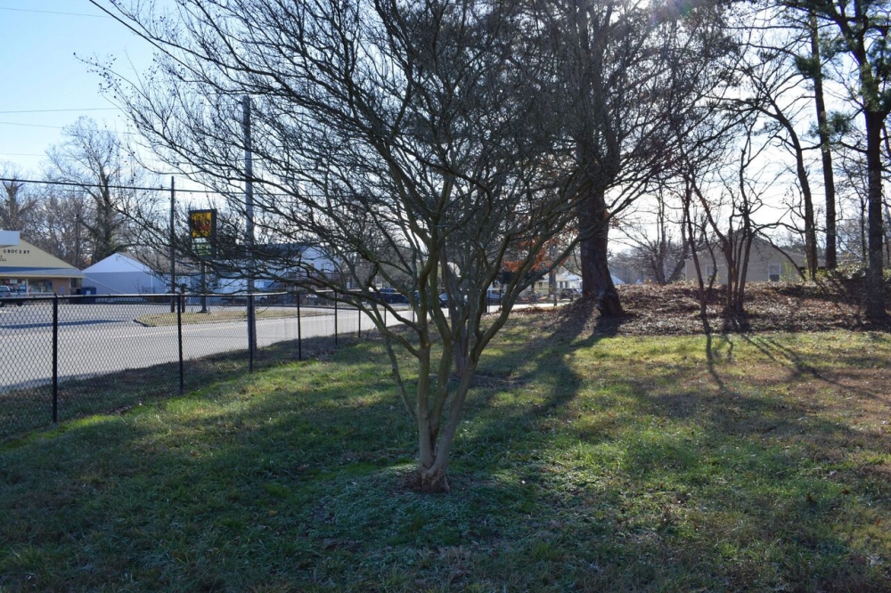 Williamsburg's Civil War battlefield